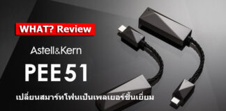 Astell&Kern PEE51 USB-C Dual DAC CABLE