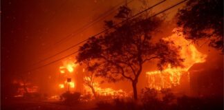 มรดกทางเสียงเพลงที่ถูกเผาผลาญไปพร้อมกับไฟป่าแคลิฟอร์เนีย