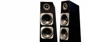 “ใหม่ล่าสุดจากแคนาดา! Totem Tribe Tower Thunderbird ลำโพงตั้งพื้นเสียงกว้างสะใจ ไม่มี Crossover กั้นกลาง – ลงได้ลึก 28Hz”