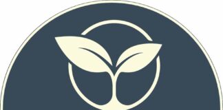 Sprout HiFi กำเนิดใหม่ของตำนานอินทิเกรตแอมป์ “Sprout100” โดย Scott McGowan แห่ง PS Audio