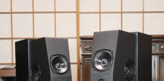 MERIDIAN M10 Flagship DSP Loudspeakers